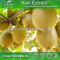 Nutramax Supply-100% Natural Chinese Gooseberry Fruit Extract Powder 4:1 5:1 10:1 20:1